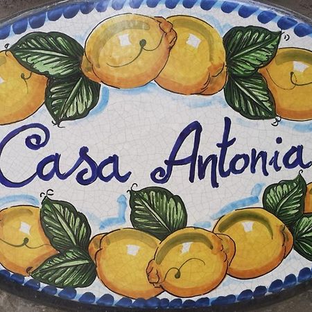 阿纳卡普里Casa Antonia公寓 外观 照片