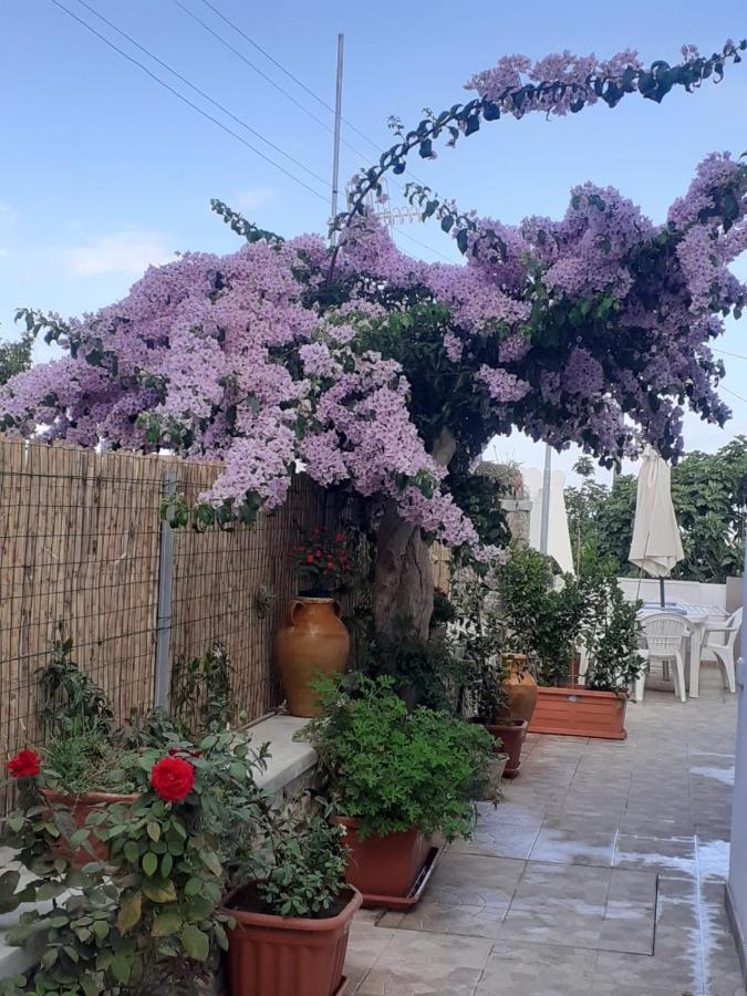 阿纳卡普里Casa Antonia公寓 外观 照片